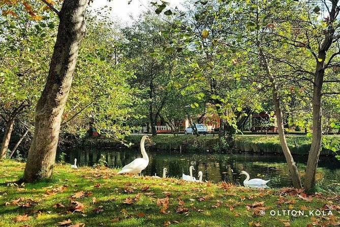 Tirana Hidden Treasures Sightseeing Tour - Tirana Castle and the city’s newer face