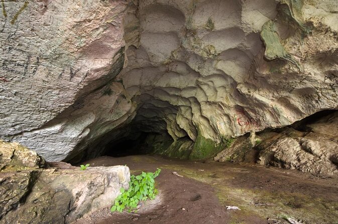 Tirana Semi-Private Hiking Tour of Pellumbas Cave & Erzeni Canyon - Key points to know before booking