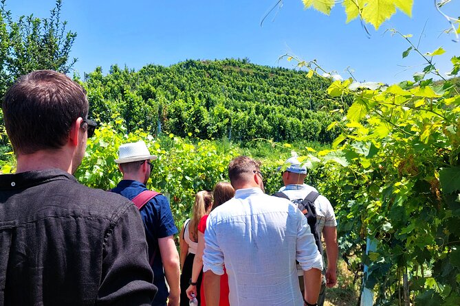 Vineyards, Albanian Wine Tasting & Boat Tour from Tirana/Durres - A short ride from Tirana or Durres