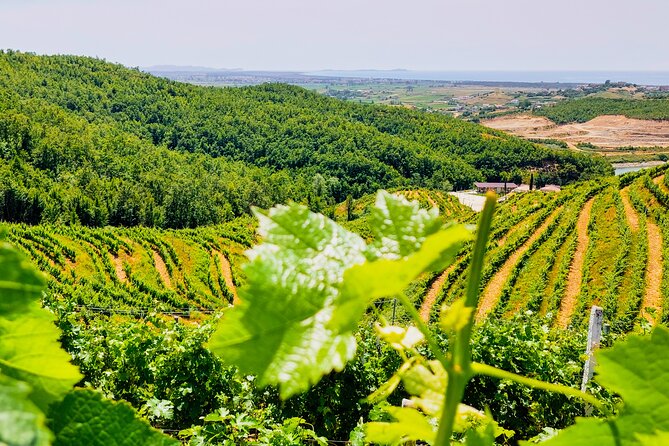 Vineyards, Albanian Wine Tasting & Boat Tour from Tirana/Durres - Why Albanian wine makes this visit worthwhile