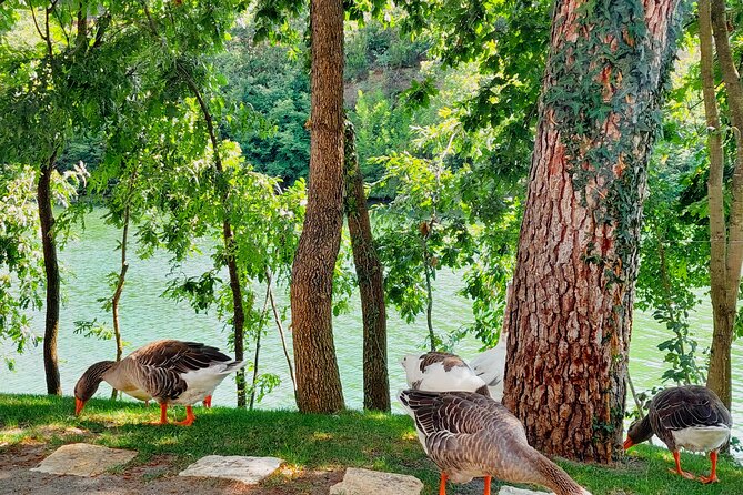 Vineyards, Albanian Wine Tasting & Boat Tour from Tirana/Durres - Should you book it?