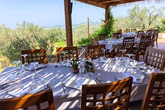 Wine Tasting & Vineyards Escape near Tirana - Quiet time among the vines
