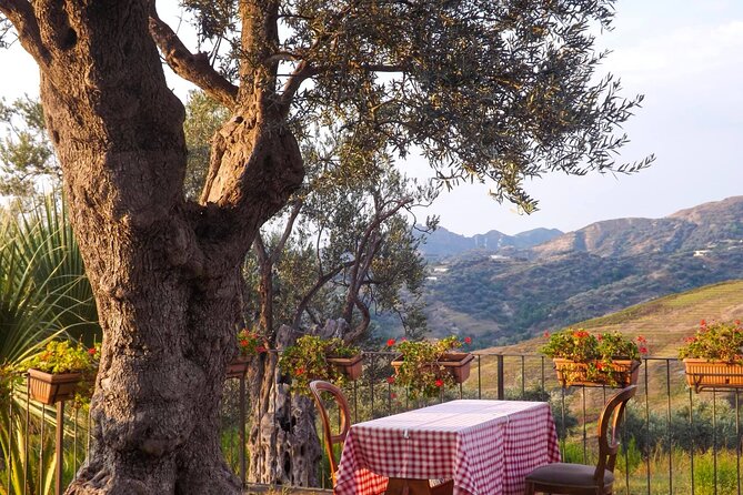 Wine Tasting & Vineyards Escape near Tirana - What the $118.58 price covers