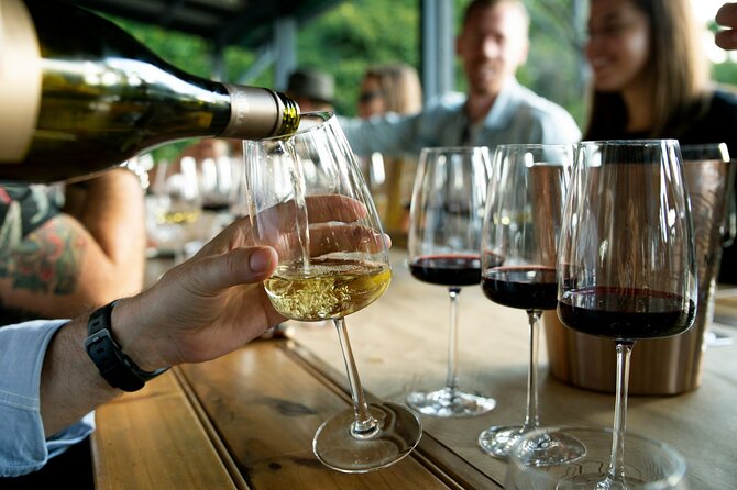 Wine Tasting & Vineyards Escape near Tirana - Who will enjoy this wine escape