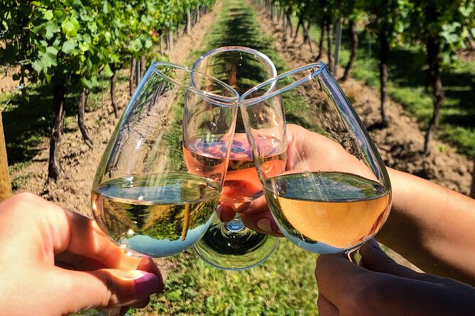 Wine Tasting & Vineyards Escape near Tirana - Timing, booking, and cancellation