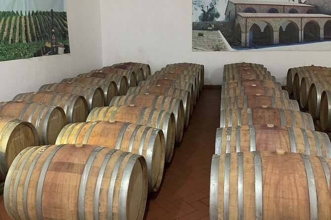 Wine Tasting & Vineyards Escape near Tirana - Should you book the winery trip?