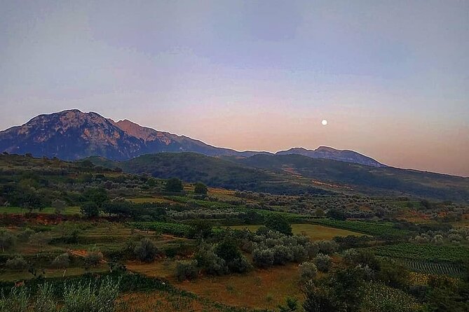 Winetasting tour in Alpeta winery - Roshnik village by 1001 Albanian Adventures - What you will actually taste
